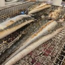 장어의꿈 이미지