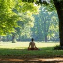 내면의 평온을 찾는 명상 이미지