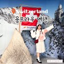 스위스 신혼여행 : 비오는날 융프라우 다녀온 후기 | 알파인 센세이션, 얼음궁전 | 신라면, 기념품 추천