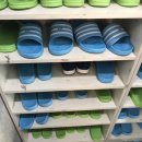 B&B(바비브라운 비숑프리제) 이미지