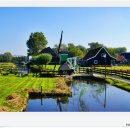 네덜란드 풍차마을 잔담(Zaandam) 잔스 스칸스 칼버링테이크 이미지