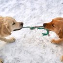 김재훈한의원 이미지