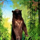 서천생태공원 이미지