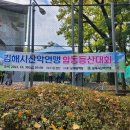 김해시암벽장 Daum카페