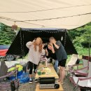 웰리힐리파크 오토캠핑장 이미지