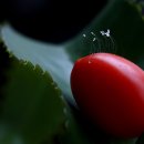 양지농장 이미지