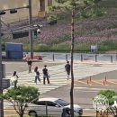 광교중앙로 이미지