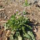 와갱이팬션 이미지