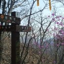 하도리 경로당 이미지