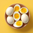 하루,한끼 이미지