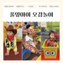 이호뿐 아니라 엄마도 너무나도 만족스러웠던 홈플러스 문화센터 &lt;풀잎아이 오감놀이 4~9개월 봄 학기&gt;