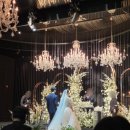 나약국 | 메종 드 아나하 그랜드볼룸홀 뷔페 하객 후기