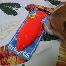 니드포펫 이미지