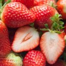 영구 딸기 이미지