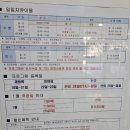 성남시 평생학습관 | [원정수영] 2025.12.21 성남 야탑 평생학습관 수영장