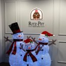 리츠펫 동탄능동점 이미지