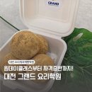 조리 기능장과 함께하는 한식요리기능사(주간) | 대전베이킹클래스 그랜드요리학원 제과제빵 원데이 수업 후기