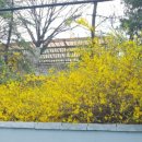 고래주유소 이미지