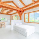 오늘의거제 이미지