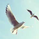 사천한의원 이미지