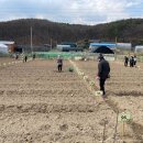 왕곡농장 이미지