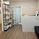 프리드빌딩 이미지