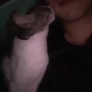 푸마농장 이미지