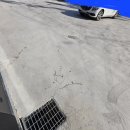 강서구-75 이미지