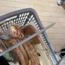 강쥐 | 마루는 강쥐 팝업 내돈내산 후기 (너무~ 짜치는 아이템들)