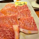 라라목장 이미지