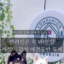 컴페니언바이주문진 이미지