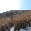 천성산가는길 이미지