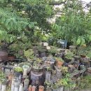 문화공간 예술텃밭 텃밭극장 이미지