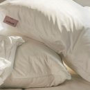 아늑호텔 이미지