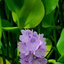 아산가든 이미지