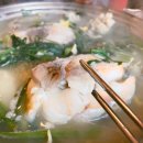 노나라 Daum카페