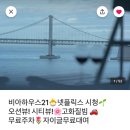 비아하우스32