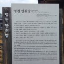 1781 | 금호읍 오계리 - 창녕조씨, 조학신의 만취당(晩翠堂)1781