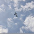 나도약국 | 경기둘레길49코스.서해랑길89코스『전곡항~안산남동보건소』