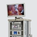 이레동물병원 이미지