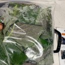 강원도흑염소 | 흑염소전골 밀키트로 맛과 영양까지 다 잡은 청춘흑염소