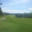 파라다이스골프장 이미지