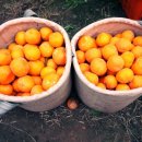 태연2농장 이미지