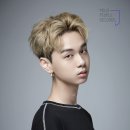 모조모조