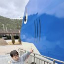 울산광역시 의회 1층 24시화장실 | 울산 바다뷰 캠핑장 강동오토캠핑장 아이랑 카라반 후기