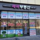 세곡공인중개사사무소 이미지