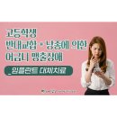 대신스마일치과의원 네이버블로그