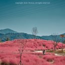 도원체육공원 이미지