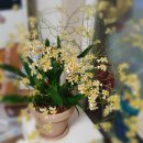 환타지아 이미지