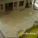 예주농장 이미지